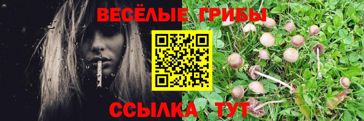 Туапсе  Галлюциногенные грибы прущие грибы  Псилоцибиновые грибы MAGIC MUSHROOMS  Вход с VPN 